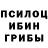 Псилоцибиновые грибы Psilocybine cubensis Lina Xuroshvili